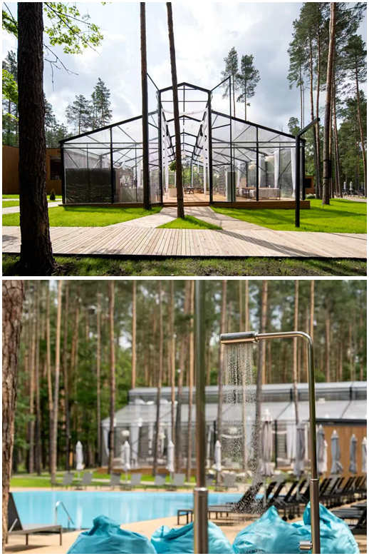 A Ukrainian Garden Owner’s Success Story with the 15*25m Modern Greenhouse YSGH-161